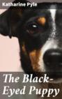 The Black-Eyed Puppy