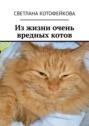 Из жизни очень вредных котов