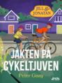 Jakten på cykeltjuven